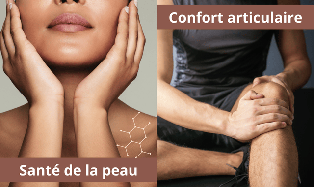 Bienfaits du collagène 